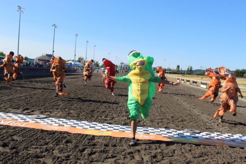 champion races (3)