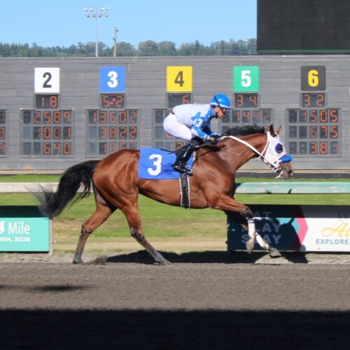race 7 (3)