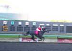 Horse Racing: Emerald Downs Final Super Stakes Sunday! 4 Champions Crowned dominated by Todaro/Wenzel team
